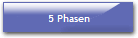 5 Phasen
